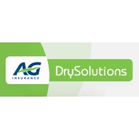 DrySolutions Logo