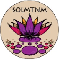Stream of Life Massage Therapy Logo