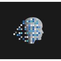 Digital Twin (Pty) Ltd Logo