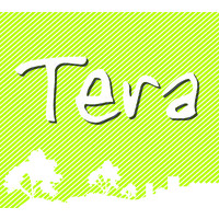 TERABILIS ET DEVELOPPEMENT Logo