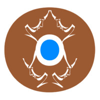 Support Network for Indigenous Women & Women of Colour Logo