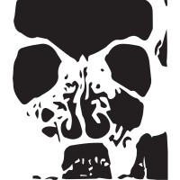 Dirtee Laundry Logo