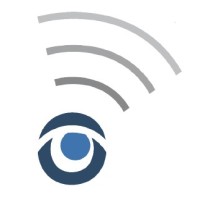 Digital Senseworks LLC Logo