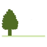 Forest and Co Logo