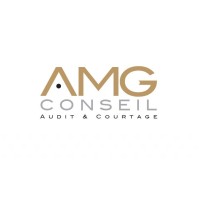 AMG Conseil - Audit & Courtage Logo