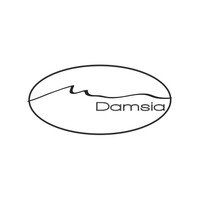 DAMSIA Logo