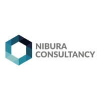 Nibura Consultancy Trade and Investment AB Logo