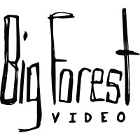 Big Forest Video (Official) Logo