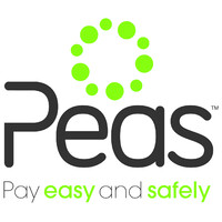 Pay Easy And Safely Logo