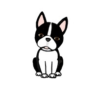 Paper Chaser Co. Logo