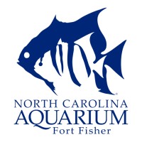 North Carolina Aquarium at Fort Fisher Logo