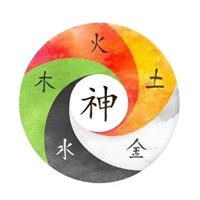 Shen Mind and Body Logo