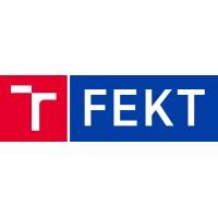 The Faculty of Electrical Engineering and Communication Logo