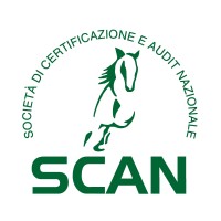 SCAN srl Logo