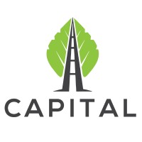 Capital Consulting Solutions Logo