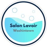 Washintown SPRL Logo