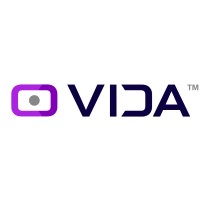VIDA IT Logo