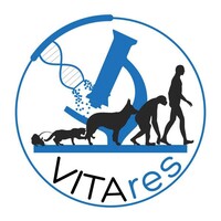 Vitares Logo
