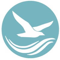Ceeblue Logo