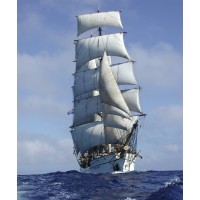 Barque Picton Castle Logo