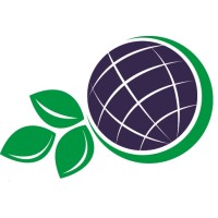 GeoMonitoring Services Logo