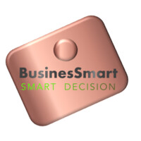 BusinesSmart Consulting Logo
