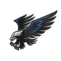 Fox Valley Hawks High School Hockey Club Logo