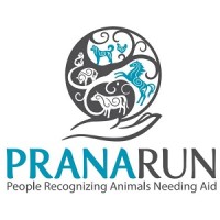 PRANA Run Logo