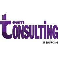 TEAM CONSULTING Logo