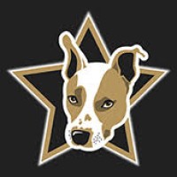 Clark Dog Media Logo