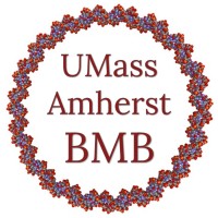 UMass Amherst Biochemistry & Molecular Biology Dept Logo