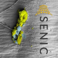 SENIC - Southeastern Nanotechnology Infrastructure Corridor Logo