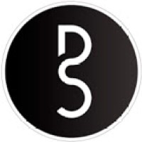 Designing Solutions Logo