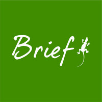 Brief Australia Logo
