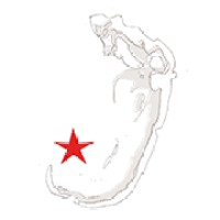 Dreammill Productions Logo