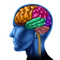 SimplyBetter Coaching & Movement Therapy Logo