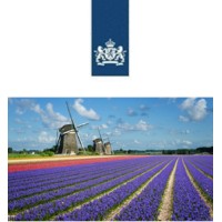 Embassy of the Kingdom of the Netherlands in Ireland Logo