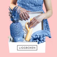 Liggboxen.se Logo