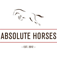 Absolute Horses Logo