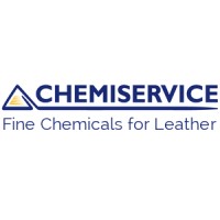 CHEMISERVICE S.R.L. Logo