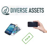Diverse Assets, LLC Logo