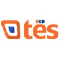 TechnoEmpire Systems Logo