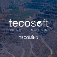 Tecosoft / Tecomind Logo