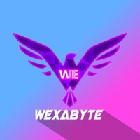 Wexabyte Pvt.Ltd. Logo
