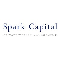 Spark Family Office & Investment Advisors (India) Private Limited Logo