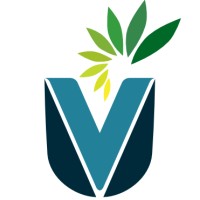 Universal Versatile Society Logo