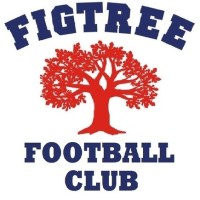 Figtree Football Club Logo