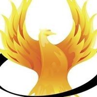 ProPhoenix Consultancy Services & Chenosa Technology Solutions Logo
