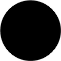 Incognito Chain Logo