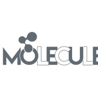 Molecule Medvertising Logo